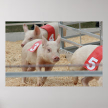 Porc emballant le porcelet rose numéro trois affiche