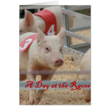 Porc emballant, photographie de course de porc, po cartes
