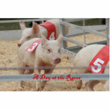 Porc emballant, photographie de course de porc, po découpage en acrylique