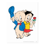 Porc gros et pétunia cartes postales