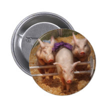 Porc - obtention des obstacles passés badge avec épingle