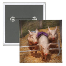 Porc - obtention des obstacles passés badges avec agrafe