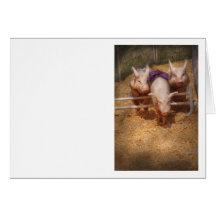 Porc - obtention des obstacles passés cartes
