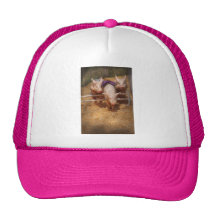 Porc - obtention des obstacles passés casquettes de camionneur