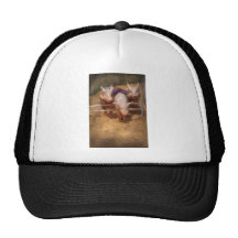 Porc - obtention des obstacles passés casquettes