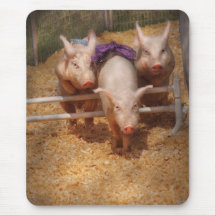 Porc - obtention des obstacles passés tapis de souris