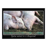 Porcs dormant, invitation de sleepover