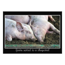 Porcs dormant, invitation de sleepover