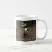 Porcs Tasse À Café