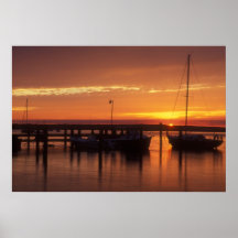 Port de point de Sakonnet Poster