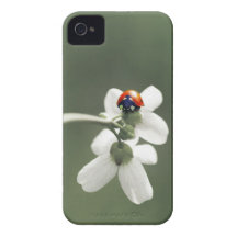 Porte-bonheur sur le pré de fleurs étuis iPhone 4