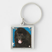 Porte - clé de chien de Terre-Neuve Porte-clefs