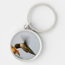 Porte - clé de colibri porte-clefs