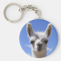 Porte - clé de lama de lis porte-clef