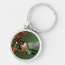 Porte - clé du colibri 2 porte-clé