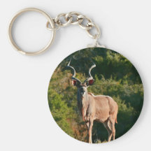 Porte - clé est de Kudu de cap Porte-clefs