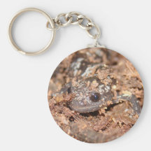 porte - clé marbré de salamandre porte-clés