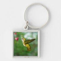 porte-clés de colibri