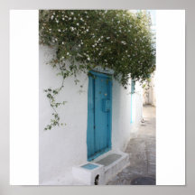 Porte de turquoise poster