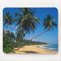 Porto Rico, Isla Verde, palmiers Tapis De Souris
