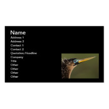 Portrait d'Anhinga Cartes De Visite Professionnelles