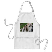 portrait de beagle tabliers