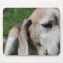 portrait de beagle tapis de souris