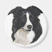 Portrait de border collie aimants