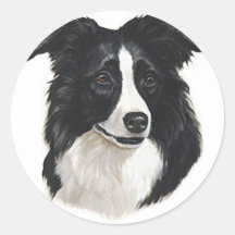 Portrait de border collie autocollants