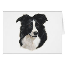 Portrait de border collie carte de vœux