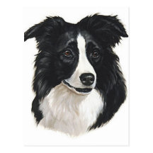 Portrait de border collie carte postale