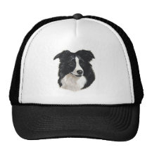 Portrait de border collie casquettes