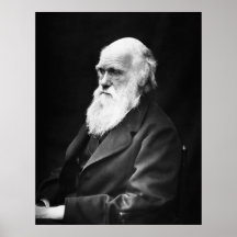 Portrait de Charles Darwin Affiche