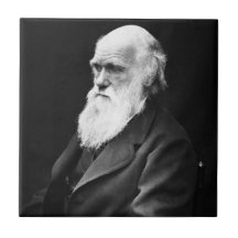 Portrait de Charles Darwin Carreau