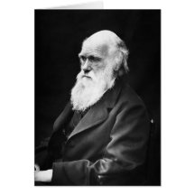 Portrait de Charles Darwin Carte