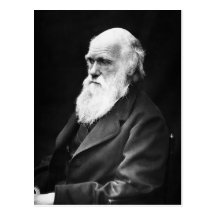 Portrait de Charles Darwin Carte Postale