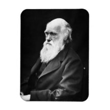 Portrait de Charles Darwin Magnets Rectangulaires