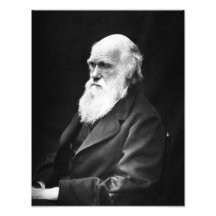 Portrait de Charles Darwin Photos Sur Toile