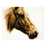 Portrait de cheval cartons d'invitation