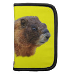 portrait de marmotte agendas folio