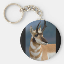Portrait de Pronghorn Porte-clefs