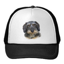 Portrait de teckel aux cheveux longs casquettes de camionneur