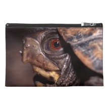 portrait de tortue de boîte trousse de voyage