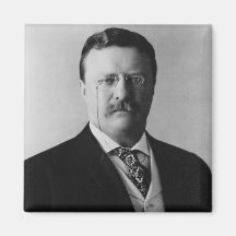 Portrait du Président Theodore Roosevelt Aimants Pour Réfrigérateur