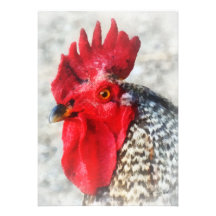 Portrait d'un coq faire-part personnalisé
