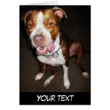 Portrait idiot de Pitbull Carte De Vœux