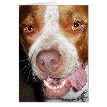 Portrait idiot de Pitbull Cartes De Vœux