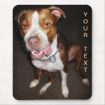 Portrait idiot de Pitbull Tapis De Souris