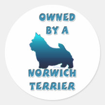 Possédé par Norwich Terrier Autocollants