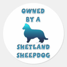 Possédé par un chien de berger de Shetland Autocollant